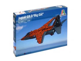 Истребитель-бомбардировщик Sepecat Jaguar GR.3 "BIG CAT"-фото1