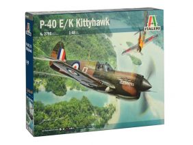 Американский истребитель Curtiss Р-40E/K Kittyhawk-фото1