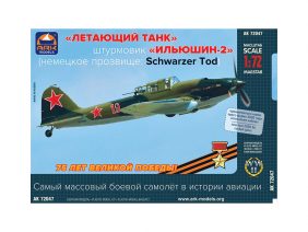 Советский штурмовик Ил-2-фото1
