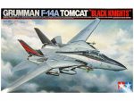 Истребитель F-14A Tomcat Black Knights-фото1