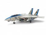 Палубный истребитель F-14D Tomcat-фото2