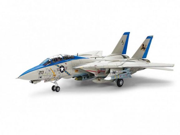 Палубный истребитель F-14D Tomcat-фото2