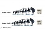 Полуприцеп-цистерна We are family-фото9
