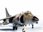 Британский палубный истребитель-бомбардировщик Sea Harrier FRS.1-фото2
