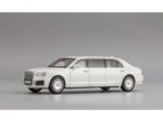 Автомобиль Aurus Senat Limousine 2018 (белый)-фото3
