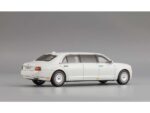 Автомобиль Aurus Senat Limousine 2018 (белый)-фото4