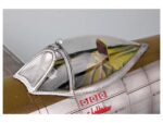 Американский истребитель P-47D Thunderbolt Bubbletop (1:32)-фото15
