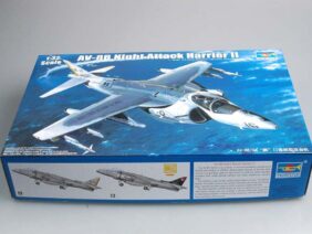 Британский истребитель-бомбардировщик Hawker Harrier AV-8B Harrier II-фото1