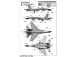 Китайский истребитель Shenyang J-11B-фото4