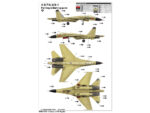 Китайский истребитель Shenyang J-11B-фото5