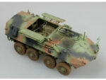Канадский самоходный миномет LAV-M — изображение 2