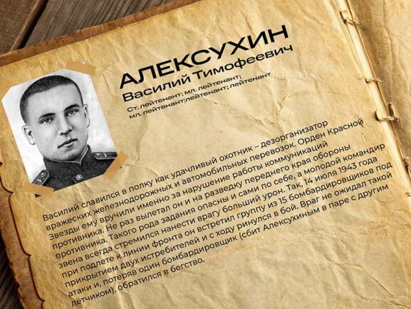 Советский штурмовик Ил-2 (обр. 1943). Герои Победы — изображение 3